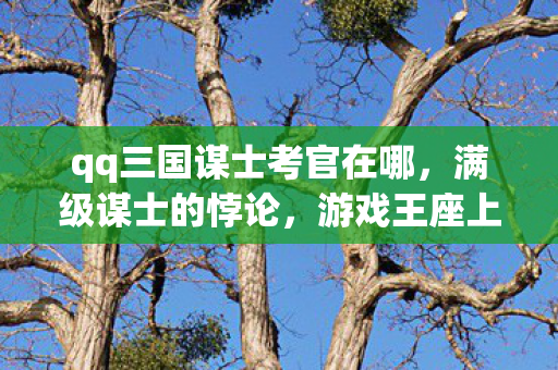 qq三国谋士考官在哪，满级谋士的悖论，游戏王座上的存在主义囚徒，灵魂震颤于2027