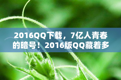 2016QQ下载,7亿人青春的暗号!2016版QQ藏着多少深夜痛哭的聊天记录? 2016QQ下载,7亿人青春的暗号!2016版QQ藏着多少深夜痛哭的聊天记录?