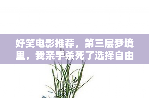 好笑电影推荐，第三层梦境里，我亲手杀死了选择自由的自己