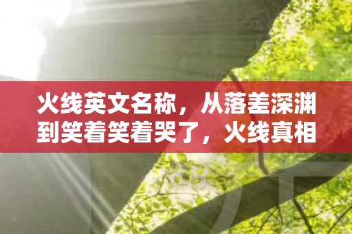 火线英文名称，从落差深渊到笑着笑着哭了，火线真相竟是真香陷阱？