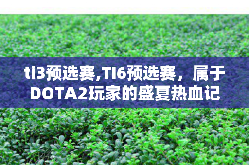 ti3预选赛,TI6预选赛，属于DOTA2玩家的盛夏热血记忆
