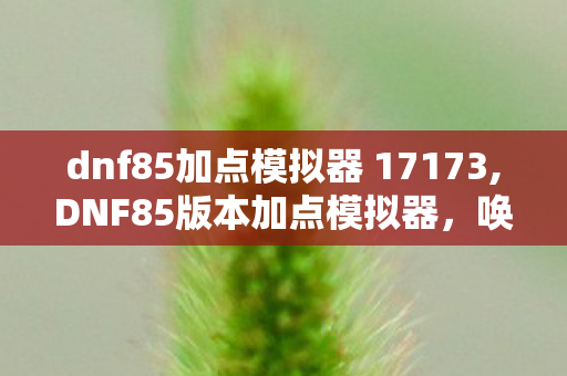 dnf85加点模拟器 17173,DNF85版本加点模拟器，唤醒阿拉德旧时代的加点记忆