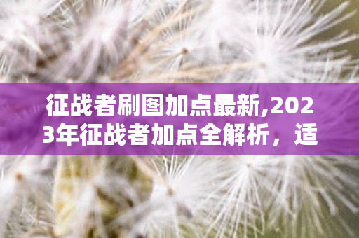 征战者刷图加点最新,2023年征战者加点全解析,适配当前版本的高效输出搭配思路 征战者刷图加点最新,2023年征战者加点全解析,适配当前版本的高效输出搭配思路
