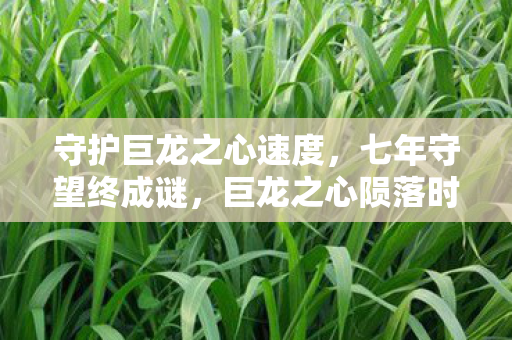 守护巨龙之心速度,七年守望终成谜,巨龙之心陨落时,泪目见证服务器熄灯 守护巨龙之心速度,七年守望终成谜,巨龙之心陨落时,泪目见证服务器熄灯