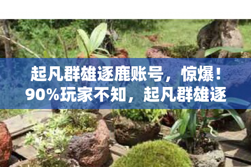 起凡群雄逐鹿账号,惊爆!90%玩家不知,起凡群雄逐鹿土豆机制竟在主机端翻车了? 起凡群雄逐鹿账号,惊爆!90%玩家不知,起凡群雄逐鹿土豆机制竟在主机端翻车了?