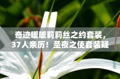 奇迹暖暖莉莉丝之约套装，37人亲历！圣夜之使套装疑云，那些在网吧绷不住的眼泪与狂笑