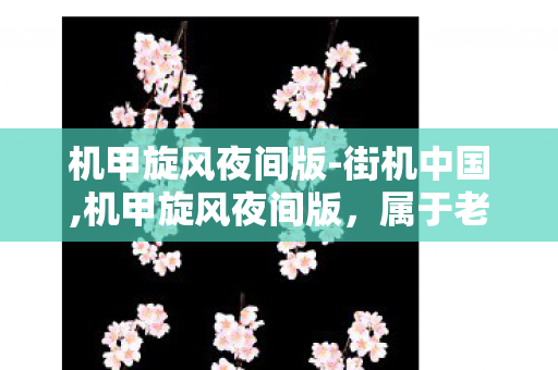 机甲旋风夜间版-街机中国,机甲旋风夜间版，属于老玩家的专属深夜浪漫记忆