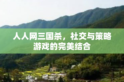 社交与策略游戏的完美结合图片