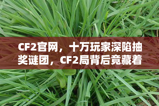 CF2官网，十万玩家深陷抽奖谜团，CF2局背后竟藏着破防真相？