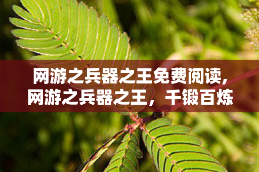 网游之兵器之王免费阅读,网游之兵器之王,千锻百炼的锋刃传奇 网游之兵器之王免费阅读,网游之兵器之王,千锻百炼的锋刃传奇