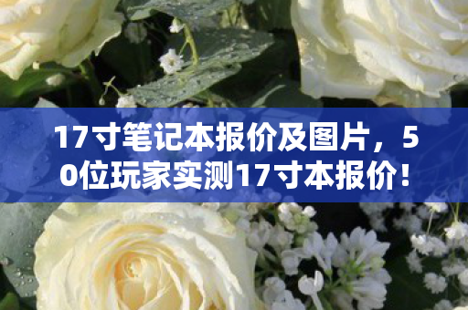17寸笔记本报价及图片,50位玩家实测17寸本报价!价格差3倍的离谱内幕让人绷不住 17寸笔记本报价及图片,50位玩家实测17寸本报价!价格差3倍的离谱内幕让人绷不住
