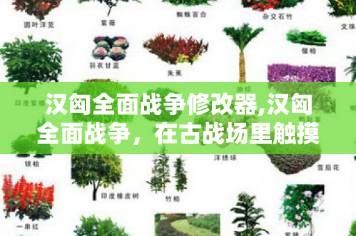 汉匈全面战争修改器,汉匈全面战争，在古战场里触摸两千年前的铁血风华