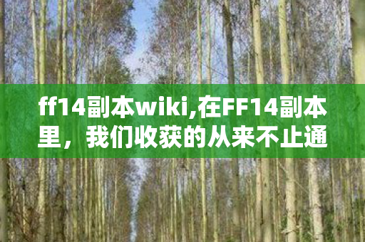 ff14副本wiki,在FF14副本里,我们收获的从来不止通关的成就感 ff14副本wiki,在FF14副本里,我们收获的从来不止通关的成就感