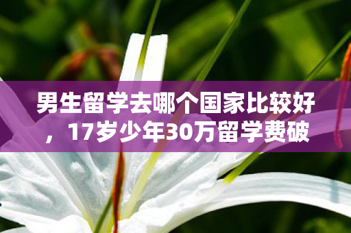 男生留学去哪个国家比较好,17岁少年30万留学费破圈挥霍,衍生数万周边堆满屋成奇观! 男生留学去哪个国家比较好,17岁少年30万留学费破圈挥霍,衍生数万周边堆满屋成奇观!