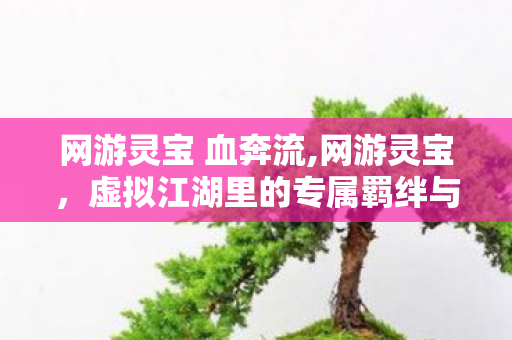 网游灵宝 血奔流,网游灵宝,虚拟江湖里的专属羁绊与温柔印记 网游灵宝 血奔流,网游灵宝,虚拟江湖里的专属羁绊与温柔印记
