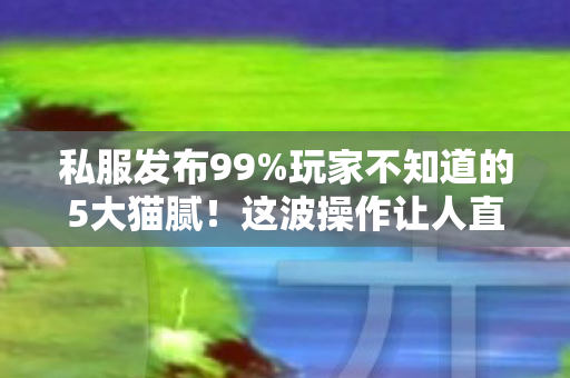 私服发布99%玩家不知道的5大猫腻！这波操作让人直呼上头到裂开