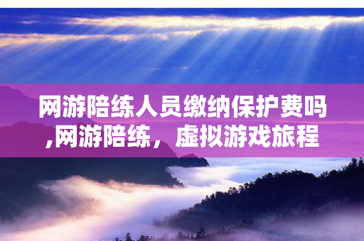 网游陪练人员缴纳保护费吗,网游陪练，虚拟游戏旅程里的暖心同行者