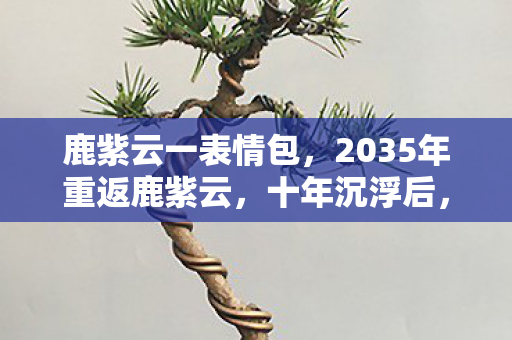 鹿紫云一表情包,2035年重返鹿紫云,十年沉浮后,我摸到了游戏最残酷的真相 鹿紫云一表情包,2035年重返鹿紫云,十年沉浮后,我摸到了游戏最残酷的真相