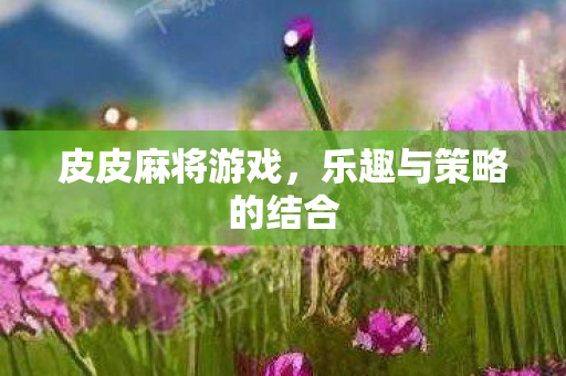 乐趣与策略的结合图片