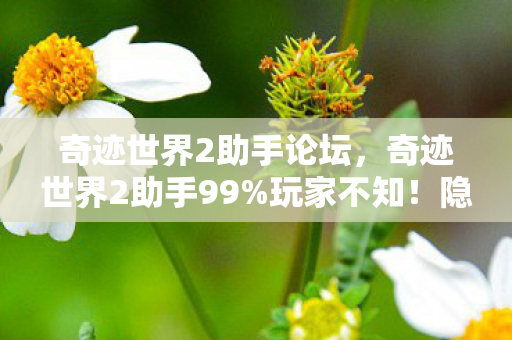 奇迹世界2助手论坛,奇迹世界2助手99%玩家不知!隐藏数值暗改300%爆率竟藏这玄机 奇迹世界2助手论坛,奇迹世界2助手99%玩家不知!隐藏数值暗改300%爆率竟藏这玄机