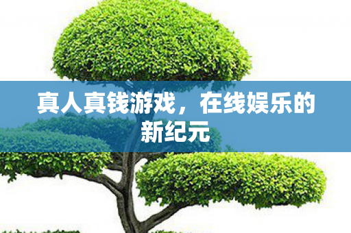 在线娱乐的新纪元图片