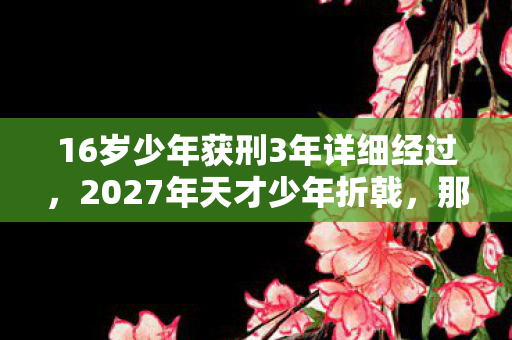 16岁少年获刑3年详细经过,2027年天才少年折戟,那些年游戏里的别走,如今鼻子一酸成绝响 16岁少年获刑3年详细经过,2027年天才少年折戟,那些年游戏里的别走,如今鼻子一酸成绝响