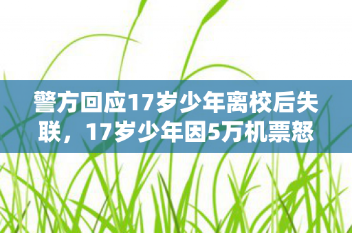 警方回应17岁少年离校后失联,17岁少年因5万机票怒攻系统!背后隐情曝光,真相让人吓一跳! 警方回应17岁少年离校后失联,17岁少年因5万机票怒攻系统!背后隐情曝光,真相让人吓一跳!