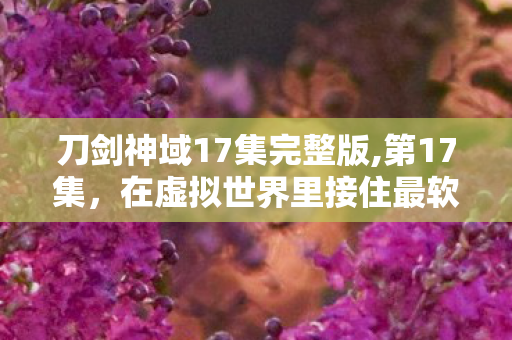 刀剑神域17集完整版,第17集,在虚拟世界里接住最软的烟火气 刀剑神域17集完整版,第17集,在虚拟世界里接住最软的烟火气