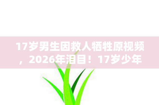 17岁男生因救人牺牲原视频，2026年泪目！17岁少年救人牺牲，背后真相为何如此揪心？