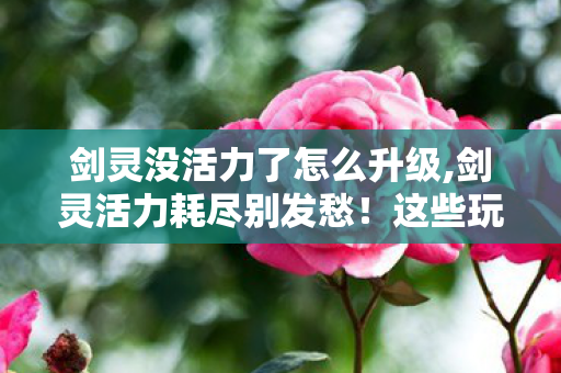 剑灵没活力了怎么升级,剑灵活力耗尽别发愁!这些玩法照样能玩得尽兴 剑灵没活力了怎么升级,剑灵活力耗尽别发愁!这些玩法照样能玩得尽兴