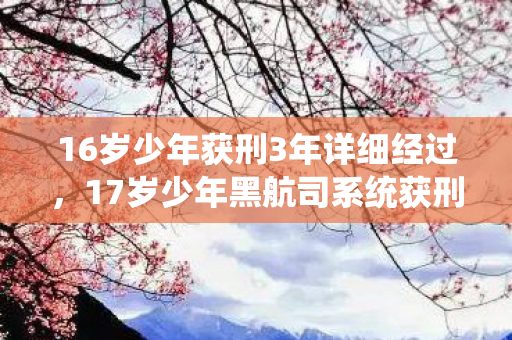 16岁少年获刑3年详细经过,17岁少年黑航司系统获刑4年!游戏宅破圈消费竟成数字时代投名状? 16岁少年获刑3年详细经过,17岁少年黑航司系统获刑4年!游戏宅破圈消费竟成数字时代投名状?