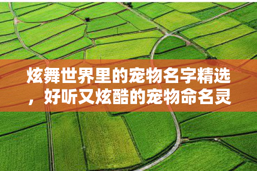 炫舞世界里的宠物名字精选图片