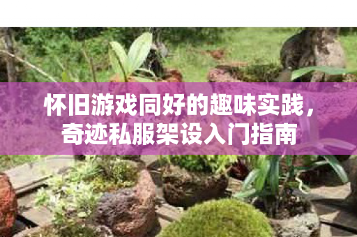 怀旧游戏同好的趣味实践,奇迹私服架设入门指南 怀旧游戏同好的趣味实践,奇迹私服架设入门指南