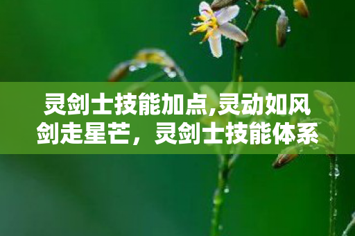 灵剑士技能加点,灵动如风剑走星芒,灵剑士技能体系全解析 灵剑士技能加点,灵动如风剑走星芒,灵剑士技能体系全解析