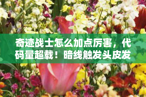 奇迹战士怎么加点厉害，代码量超载！暗线触发头皮发麻的量子跃迁加点法