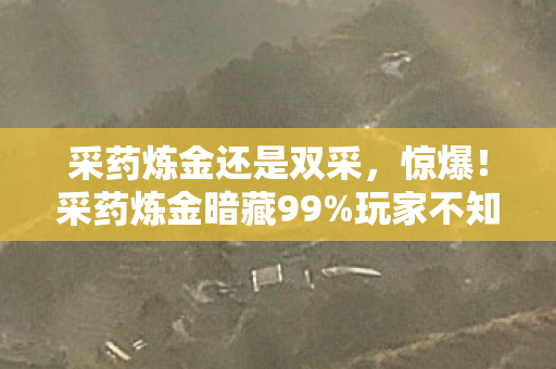 采药炼金还是双采，惊爆！采药炼金暗藏99%玩家不知的3大数值陷阱，概率被改实锤