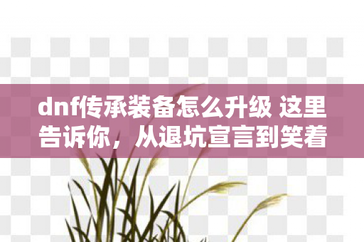 dnf传承装备怎么升级 这里告诉你,从退坑宣言到笑着笑着哭了,DNF传承升级真相竟让我破防 dnf传承装备怎么升级 这里告诉你,从退坑宣言到笑着笑着哭了,DNF传承升级真相竟让我破防