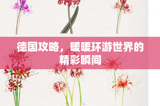 暖暖环游世界的精彩瞬间图片