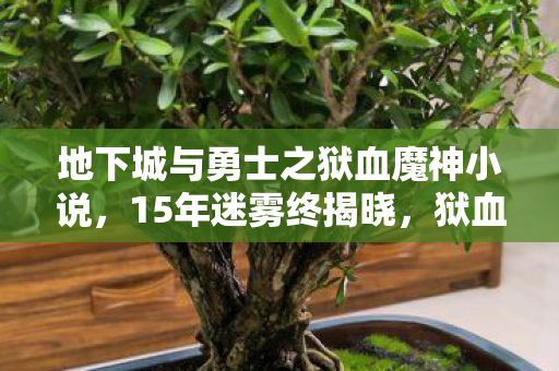 地下城与勇士之狱血魔神小说,15年迷雾终揭晓,狱血魔神的血色史诗,泪目见证传奇 地下城与勇士之狱血魔神小说,15年迷雾终揭晓,狱血魔神的血色史诗,泪目见证传奇