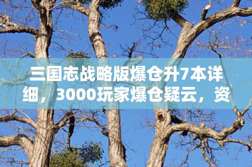 三国志战略版爆仓升7本详细,3000玩家爆仓疑云,资源池凭空蒸发?网吧老炮,我笑到键盘喷奶 三国志战略版爆仓升7本详细,3000玩家爆仓疑云,资源池凭空蒸发?网吧老炮,我笑到键盘喷奶