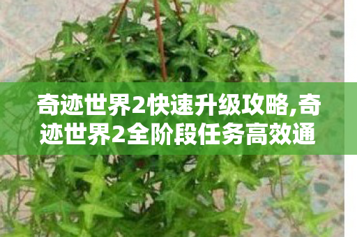 奇迹世界2快速升级攻略,奇迹世界2全阶段任务高效通关指南 奇迹世界2快速升级攻略,奇迹世界2全阶段任务高效通关指南