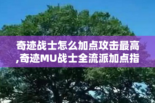 奇迹战士怎么加点攻击最高,奇迹MU战士全流派加点指南,适配不同玩法的最优属性分配思路 奇迹战士怎么加点攻击最高,奇迹MU战士全流派加点指南,适配不同玩法的最优属性分配思路