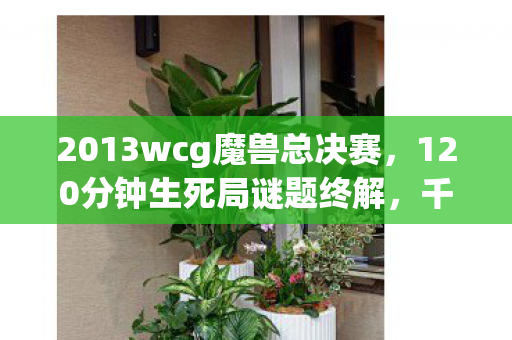 2013wcg魔兽总决赛,120分钟生死局谜题终解,千万玩家泪目见证传奇落幕 2013wcg魔兽总决赛,120分钟生死局谜题终解,千万玩家泪目见证传奇落幕