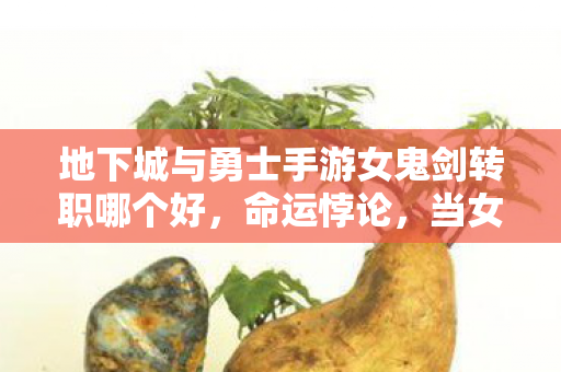 地下城与勇士手游女鬼剑转职哪个好,命运悖论,当女鬼剑的转职选择撕裂存在主义的自由层级 地下城与勇士手游女鬼剑转职哪个好,命运悖论,当女鬼剑的转职选择撕裂存在主义的自由层级