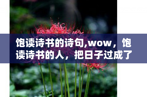 饱读诗书的诗句,wow,饱读诗书的人,把日子过成了藏满惊喜的盲盒 饱读诗书的诗句,wow,饱读诗书的人,把日子过成了藏满惊喜的盲盒