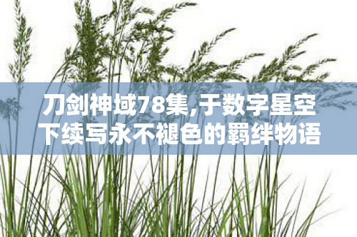 刀剑神域78集,于数字星空下续写永不褪色的羁绊物语 刀剑神域78集,于数字星空下续写永不褪色的羁绊物语