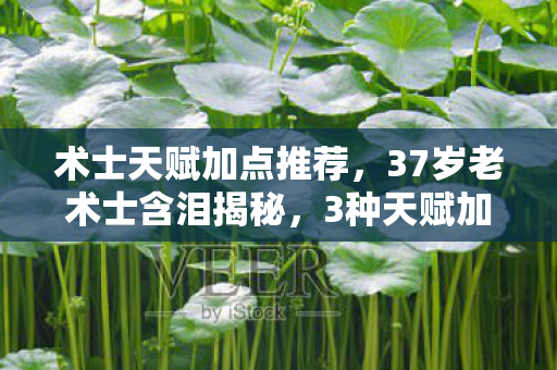 术士天赋加点推荐,37岁老术士含泪揭秘,3种天赋加点法如何让我在2027年失业? 术士天赋加点推荐,37岁老术士含泪揭秘,3种天赋加点法如何让我在2027年失业?