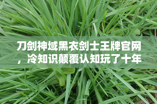 刀剑神域黑衣剑士王牌官网,冷知识颠覆认知玩了十年刀剑神域,我竟目瞪口呆地发现…… 刀剑神域黑衣剑士王牌官网,冷知识颠覆认知玩了十年刀剑神域,我竟目瞪口呆地发现……