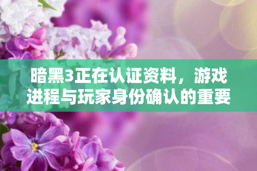 游戏进程与玩家身份确认的重要性图片