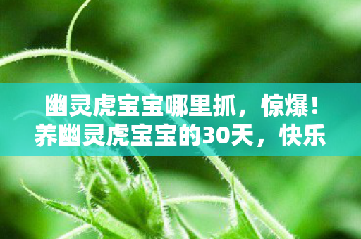幽灵虎宝宝哪里抓,惊爆!养幽灵虎宝宝的30天,快乐值直接拉满到200%! 幽灵虎宝宝哪里抓,惊爆!养幽灵虎宝宝的30天,快乐值直接拉满到200%!